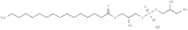 LysoFos Glycerol 16
