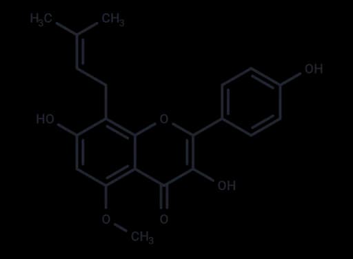 Sophoflavescenol