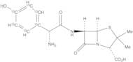 Amoxicillin-13C6
