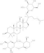 Notoginsenoside R1