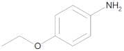 p-Phenetidine