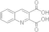 2,3-Quinolinedicarboxylic acid