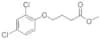 2,4-DB METHYL ESTER