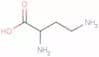 2,4-diaminobutyric acid