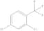 2,4-Dichloro Benzotrifluoride