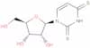 2,4-Dithiouridine