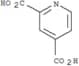 2,4-Pyridinedicarboxylic acid