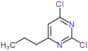 2,4-dichloro-6-propylpyrimidine