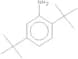 2,5-di-tert-butylaniline