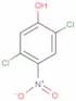 2,5-Dichloro-4-nitrophenol