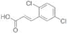 2,5-Dichloro-CinnamicAcid