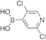 2,5-Dichloropyridine-4-boronic acid