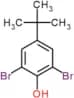 2,6-dibromo-4-tert-butylphenol