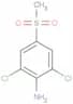 2,6-Dichloro-4-(methylsulfonyl)benzenamine