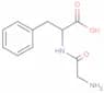 Glycylphenylalanine