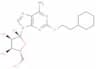 2-(2-cyclohexylethoxy)adenosine