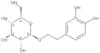 2-(3,4-Dihydroxyphenyl)ethyl β-D-glucopyranoside