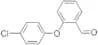 2-(4-CHLOROPHENOXY)BENZALDEHYDE