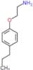 2-(4-propylphenoxy)ethanamine