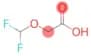 2-(difluoromethoxy)acetic acid