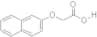 2-Naphthoxyacetic acid