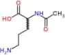 N5-Acetyl-L-ornithine