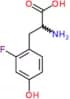 2-fluorotyrosine