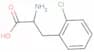 2-Chlorophenylalanine