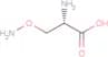 O-aminoserine