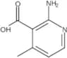 2-Amino-4-methylnicotinic acid