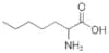 2-Aminoheptanoic acid