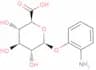 2-Aminophenol glucuronide