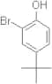 2-Bromo-4-tert-butylphenol
