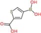 4-boronothiophene-2-carboxylic acid