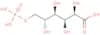 6-Phosphogluconic acid