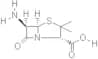 6-Aminopenicillanic acid