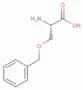O-Benzyl-L-serine