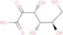 sodium xylo-hex-2-ulosonate