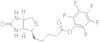 Biotin pentafluorophenyl ester