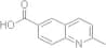 2-Methyl-6-quinolinecarboxylic acid