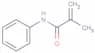 N-Phenylmethacrylamide