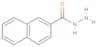 2-Naphthoic acid hydrazide