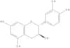 (+)-catechin