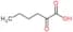 2-Oxohexanoic acid