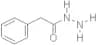 (2-Phenylacetyl)hydrazine