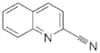 2-quinolinecarbonitrile
