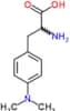 4-(dimethylamino)phenylalanine