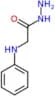 2-(phenylamino)acetohydrazide (non-preferred name)