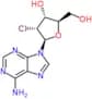 2'-chloro-2'-deoxyadenosine