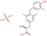 Triiodothyronine sulfate